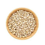 Cholam / Sorghum